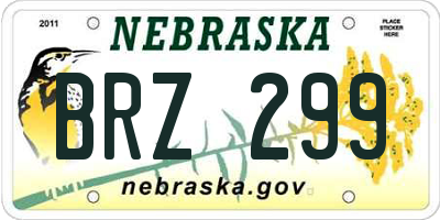 NE license plate BRZ299