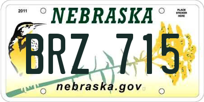 NE license plate BRZ715