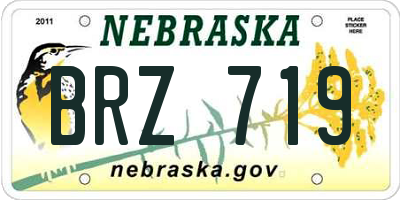 NE license plate BRZ719
