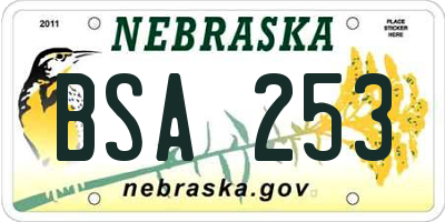 NE license plate BSA253