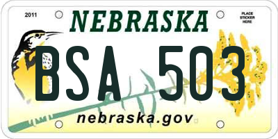 NE license plate BSA503