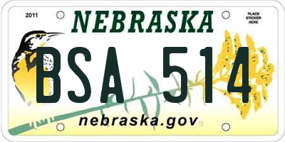 NE license plate BSA514