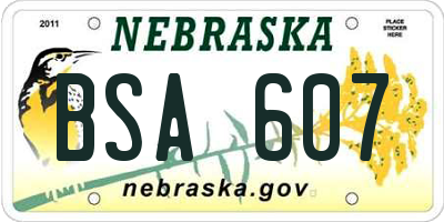 NE license plate BSA607