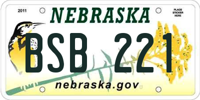 NE license plate BSB221