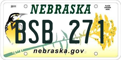 NE license plate BSB271