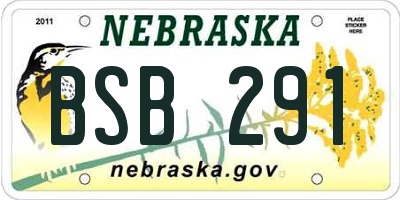 NE license plate BSB291