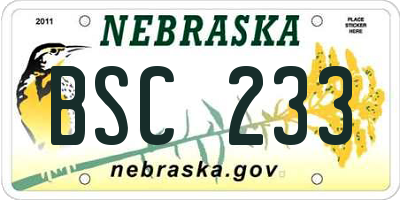 NE license plate BSC233