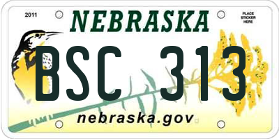 NE license plate BSC313