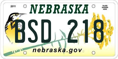 NE license plate BSD218