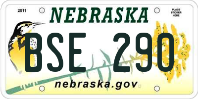 NE license plate BSE290