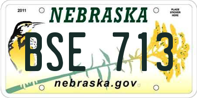NE license plate BSE713
