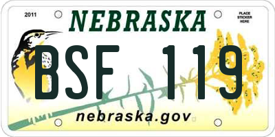 NE license plate BSF119