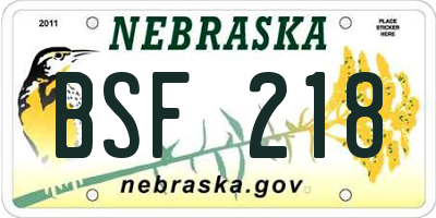 NE license plate BSF218