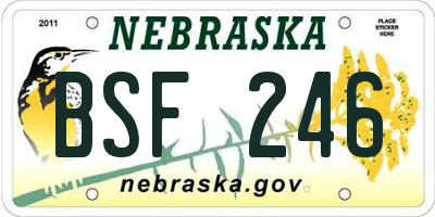 NE license plate BSF246