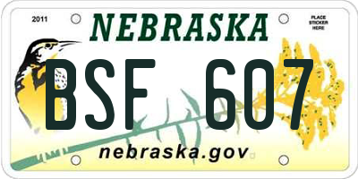 NE license plate BSF607