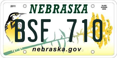 NE license plate BSF710