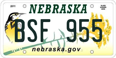 NE license plate BSF955