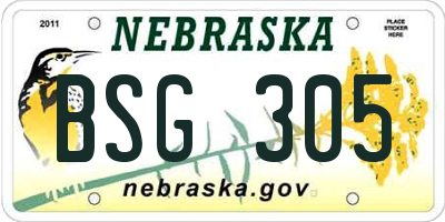 NE license plate BSG305