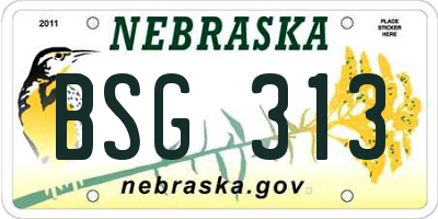 NE license plate BSG313