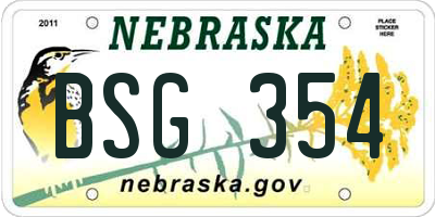 NE license plate BSG354