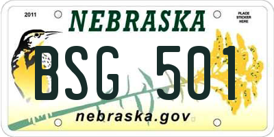 NE license plate BSG501