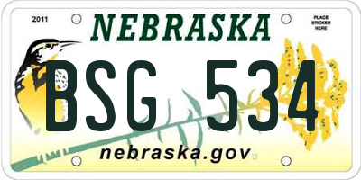 NE license plate BSG534