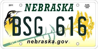 NE license plate BSG616
