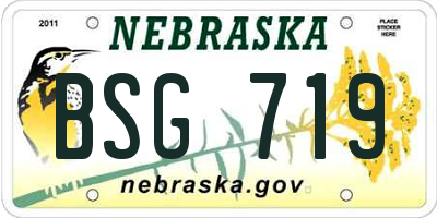 NE license plate BSG719
