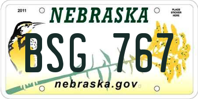 NE license plate BSG767