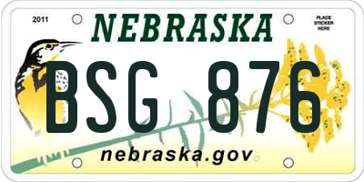 NE license plate BSG876