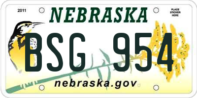NE license plate BSG954