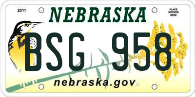 NE license plate BSG958