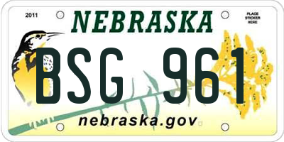 NE license plate BSG961