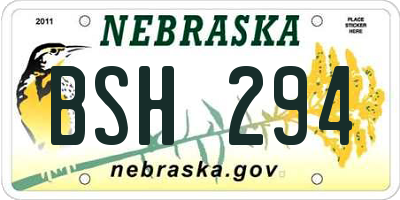 NE license plate BSH294