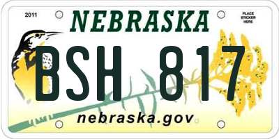NE license plate BSH817