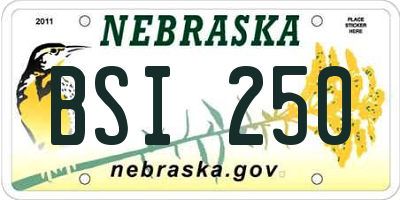 NE license plate BSI250