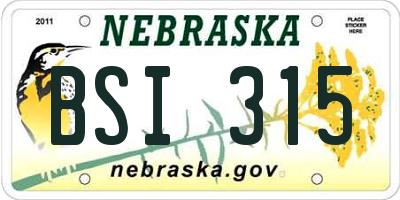 NE license plate BSI315
