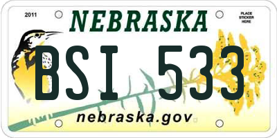 NE license plate BSI533