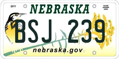 NE license plate BSJ239