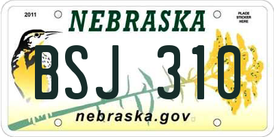 NE license plate BSJ310