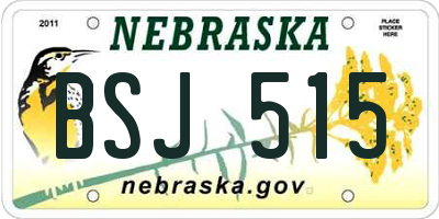 NE license plate BSJ515