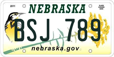 NE license plate BSJ789