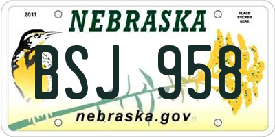 NE license plate BSJ958