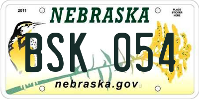 NE license plate BSK054