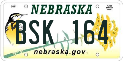 NE license plate BSK164