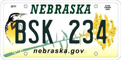 NE license plate BSK234