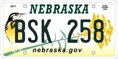 NE license plate BSK258