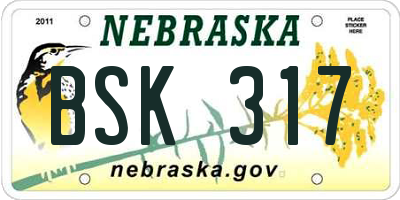 NE license plate BSK317