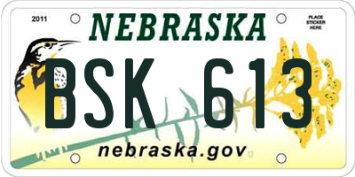 NE license plate BSK613