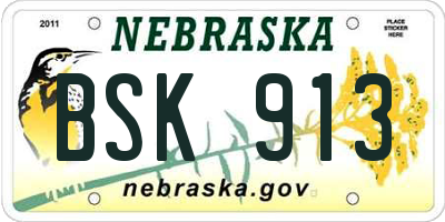 NE license plate BSK913